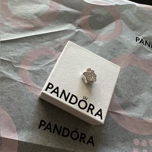 *NEW* Pandora Sparkling Paw Charm
